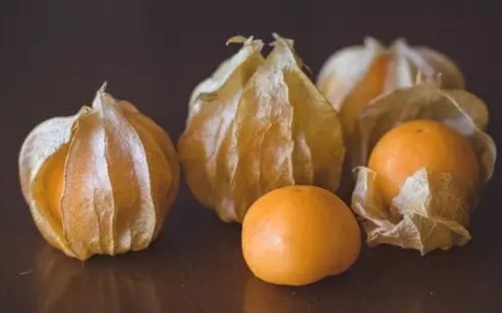 Income Protection Insurance